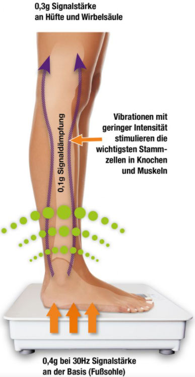 Die Anwendung Bild auf Platte